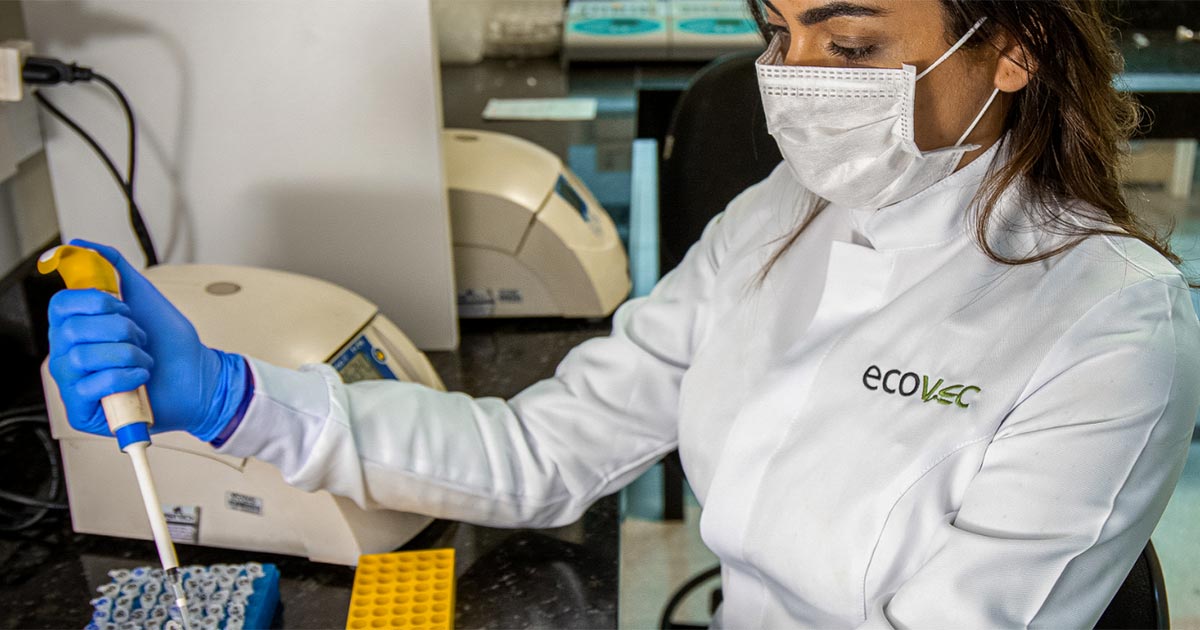 Ecovec desenvolve metodologia para detectar arbovírus em mosquito