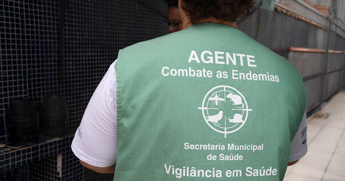 Principais endemias no Brasil: um guia para gestores de saúde